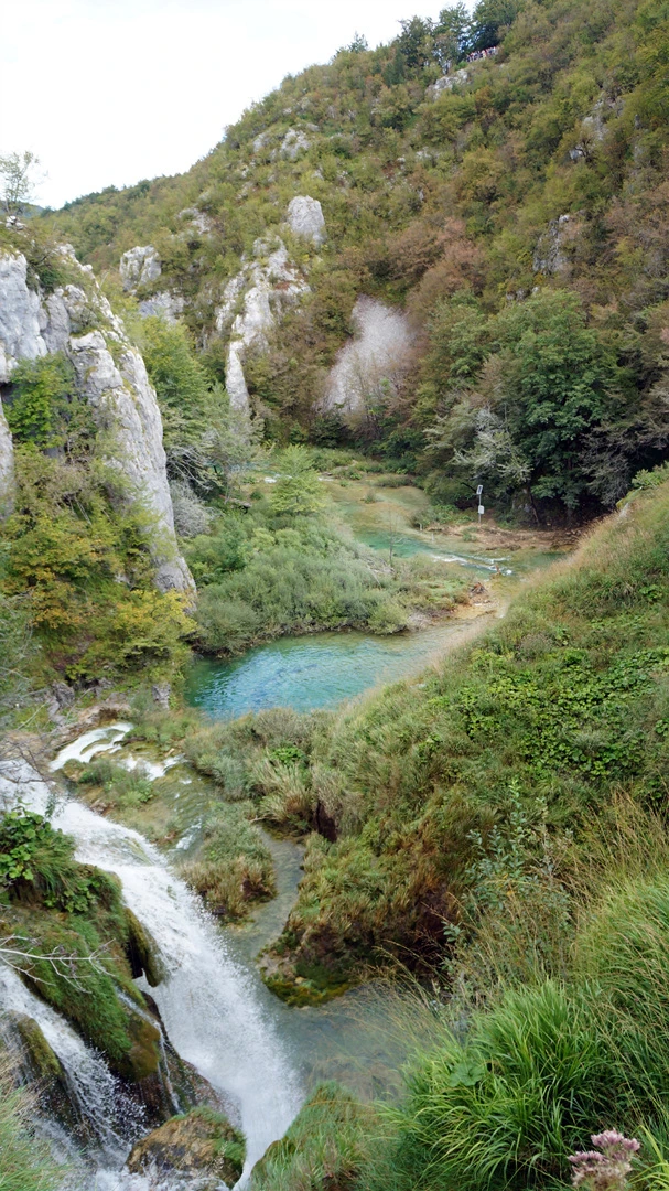 DSC05633%A4%D11.jpg?type=w1