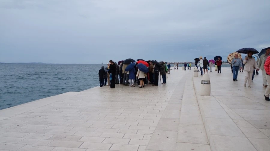 DSC06160.jpg?type=w1