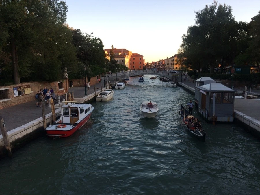 IMG_4303.jpg?type=w1