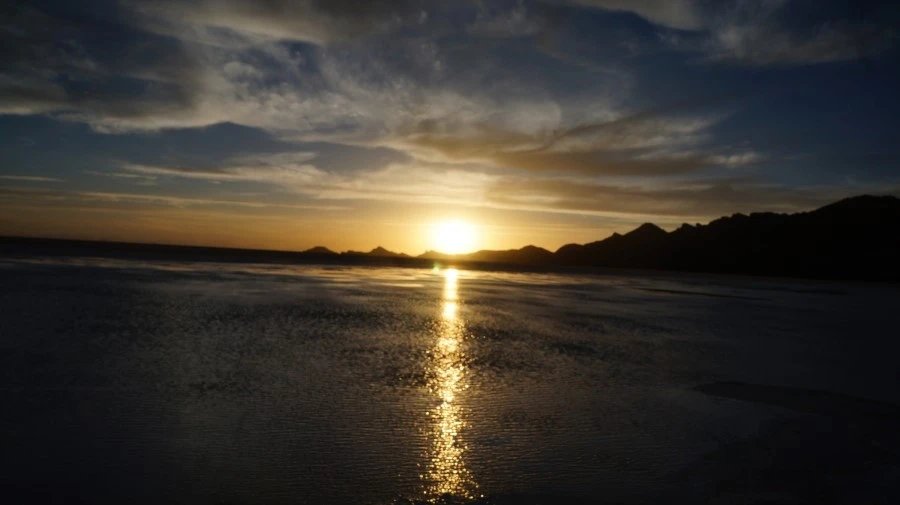 DSC01292%E3%85%A1.jpg?type=w1