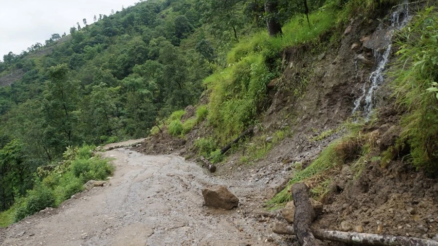 DSC01050%A4%BB.jpg?type=w1