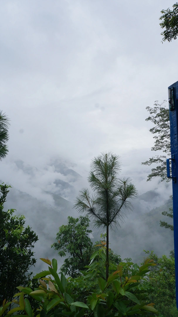 DSC01033%A4%BB.jpg?type=w1