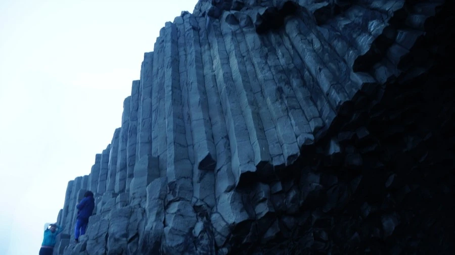 DSC08645.jpg?type=w1