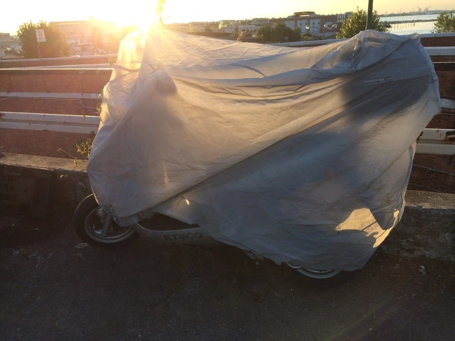 IMG_4295.jpg?type=w1