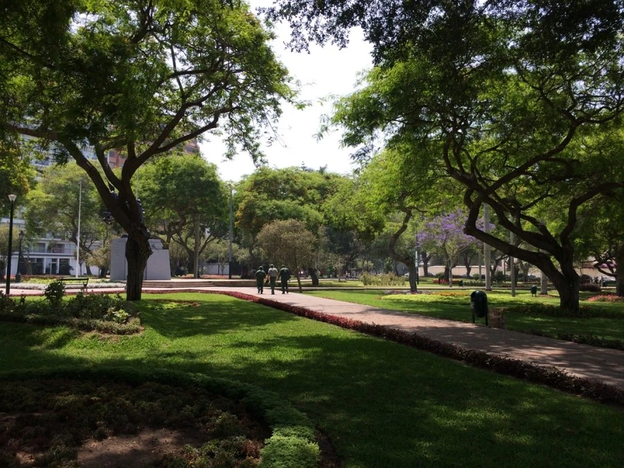 IMG_7013.jpg?type=w1