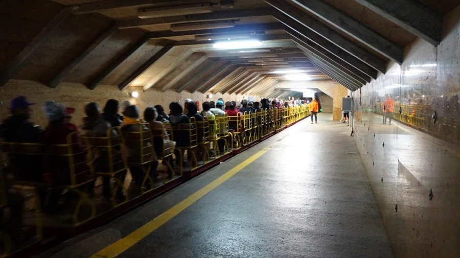 DSC06469.jpg?type=w1