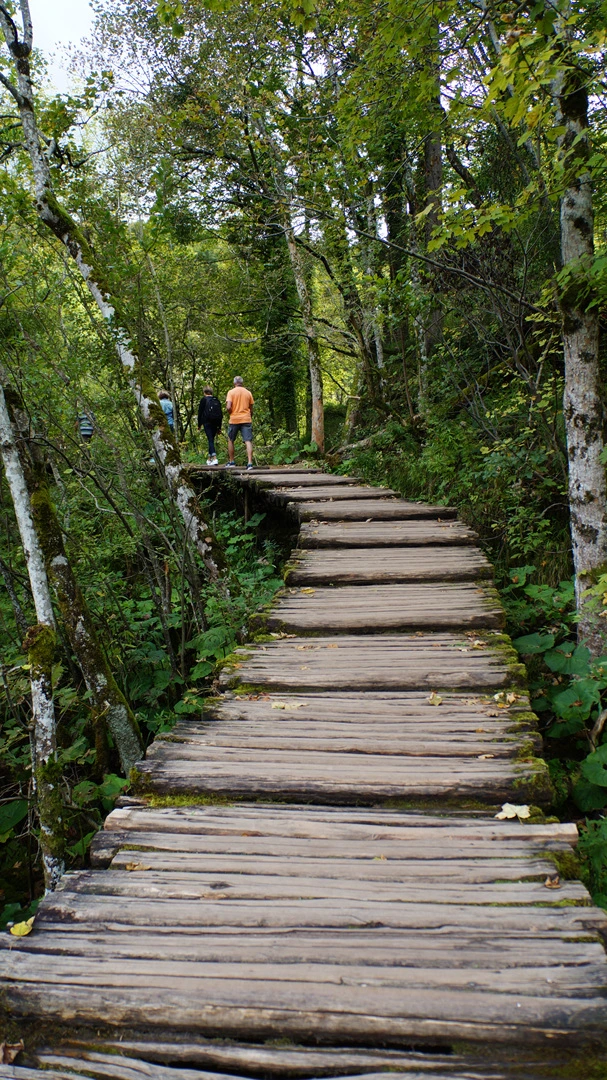 DSC05813.jpg?type=w1