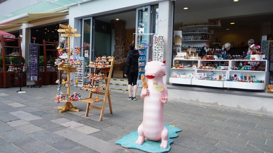 DSC06215.jpg?type=w1