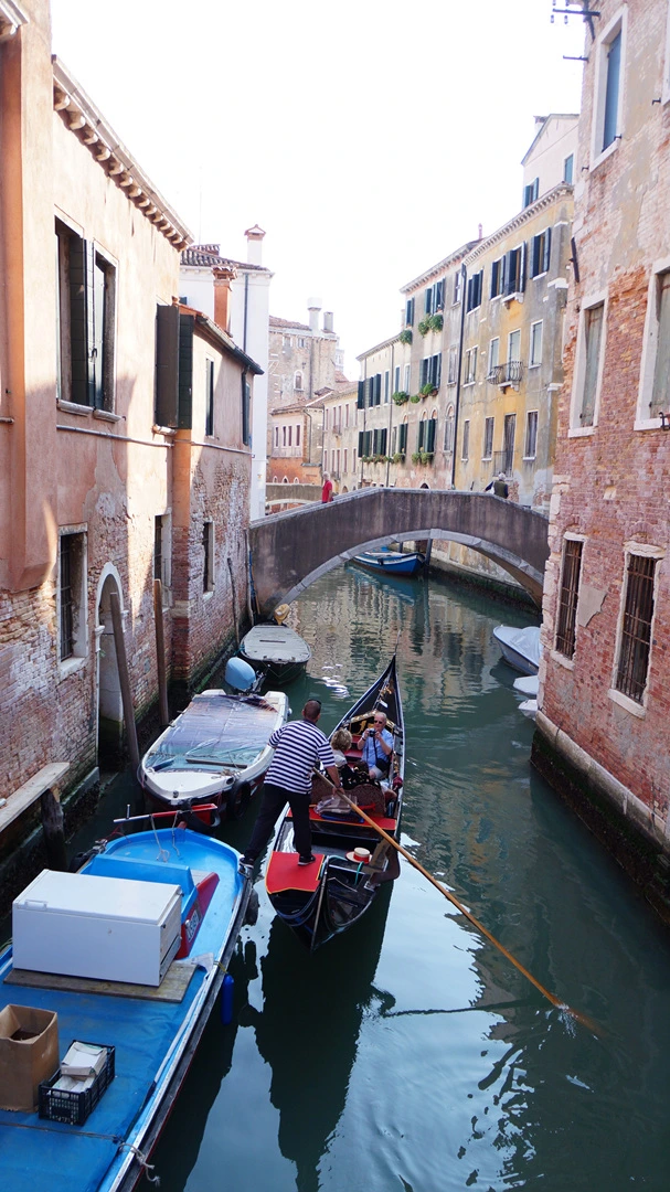 DSC06634.jpg?type=w1