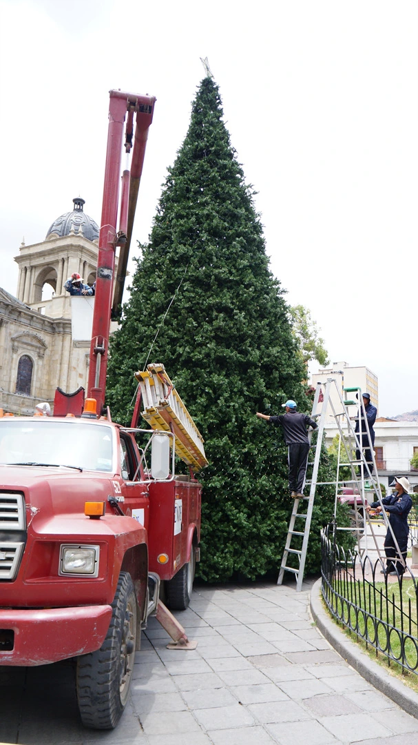 DSC00463.jpg?type=w1