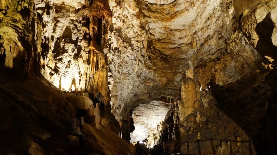 DSC06431.jpg?type=w1