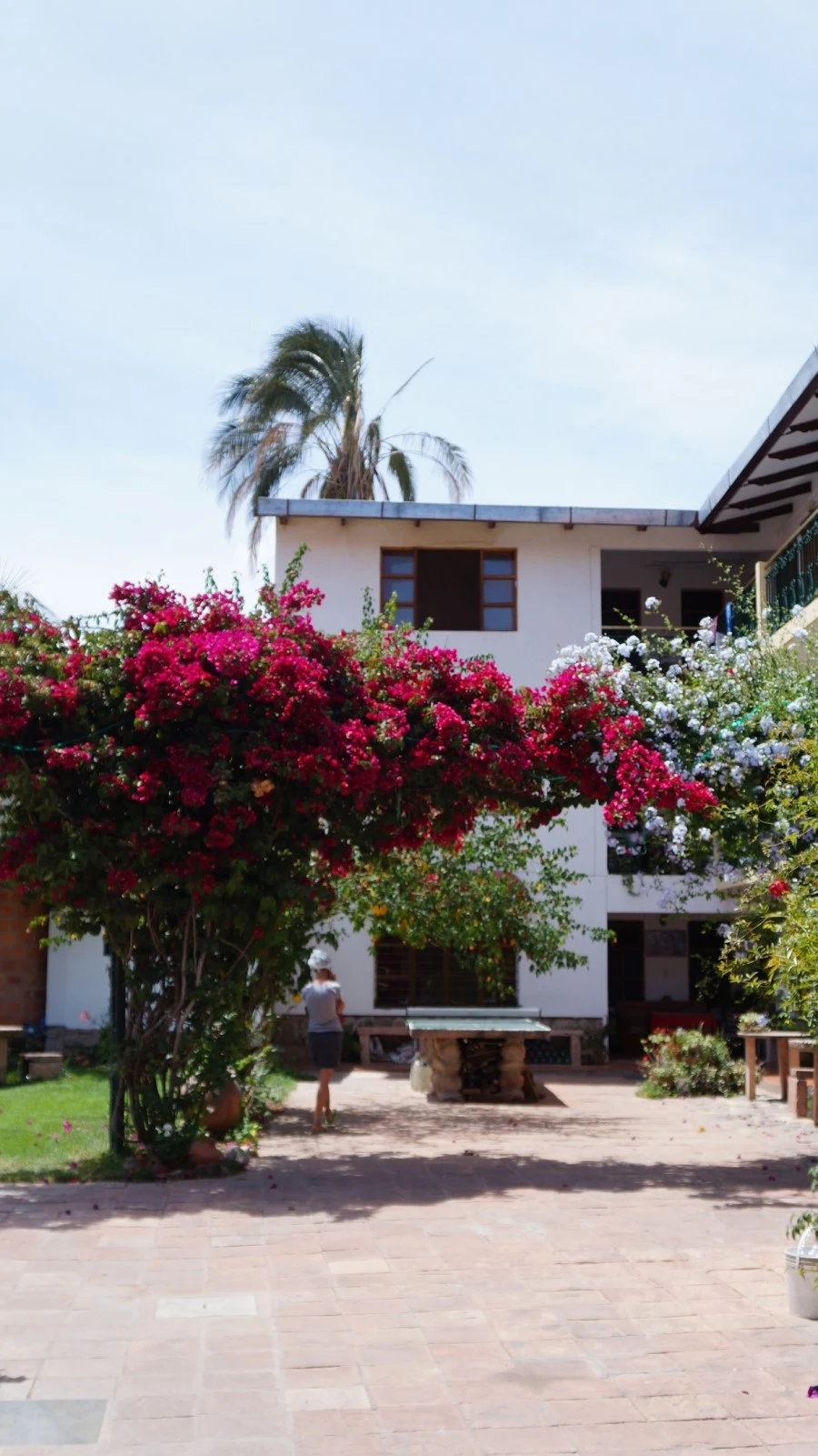 DSC00594.jpg?type=w1