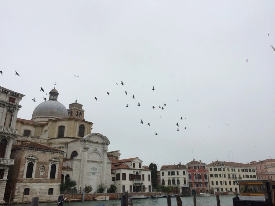 IMG_4913.jpg?type=w1