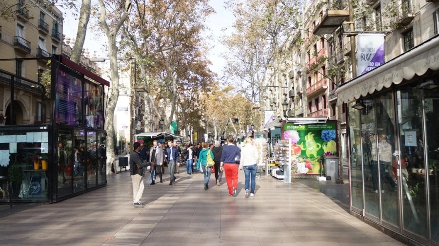 DSC09326.jpg?type=w1