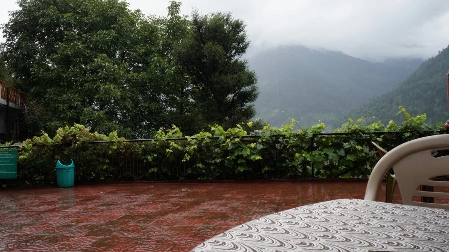 DSC02505.jpg?type=w1