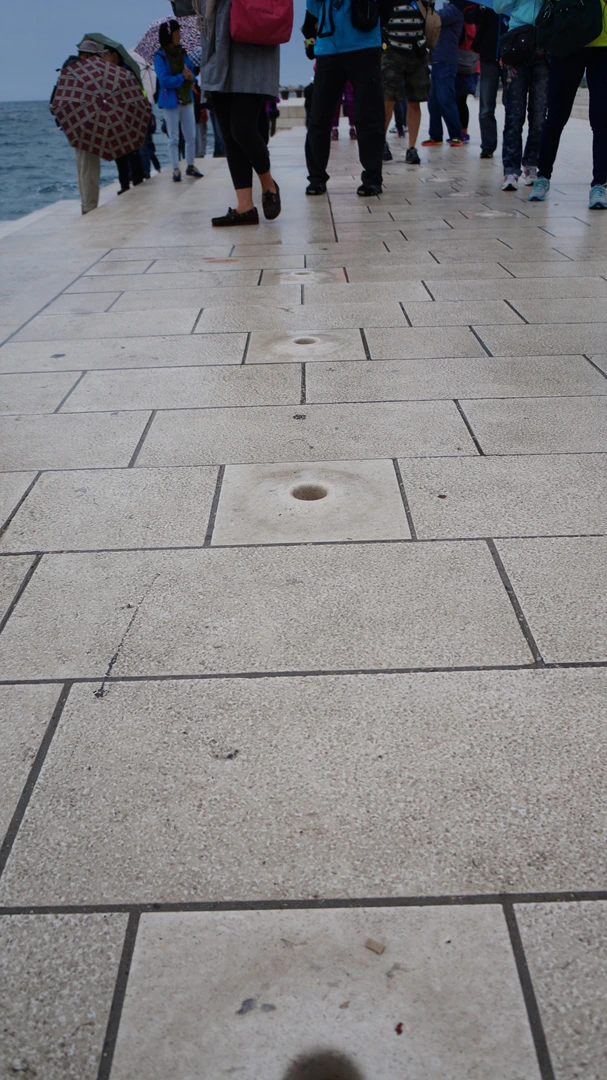 DSC06162.jpg?type=w1