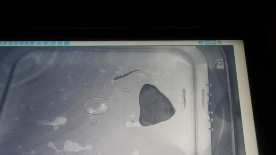 DSC06458.jpg?type=w1