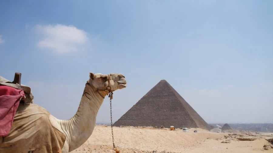 DSC04373m.jpg?type=w1