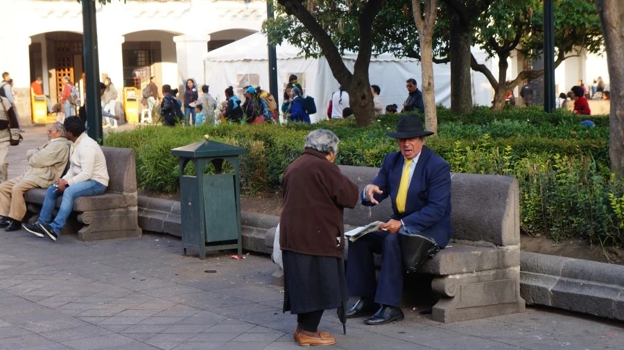 DSC04201.jpg?type=w1