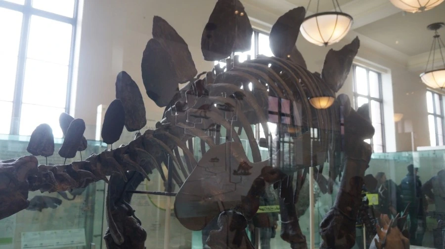 DSC04393.jpg?type=w1