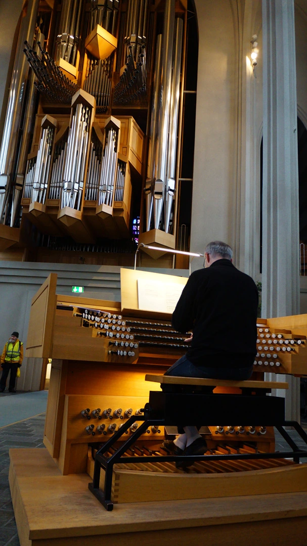 DSC07426.jpg?type=w1