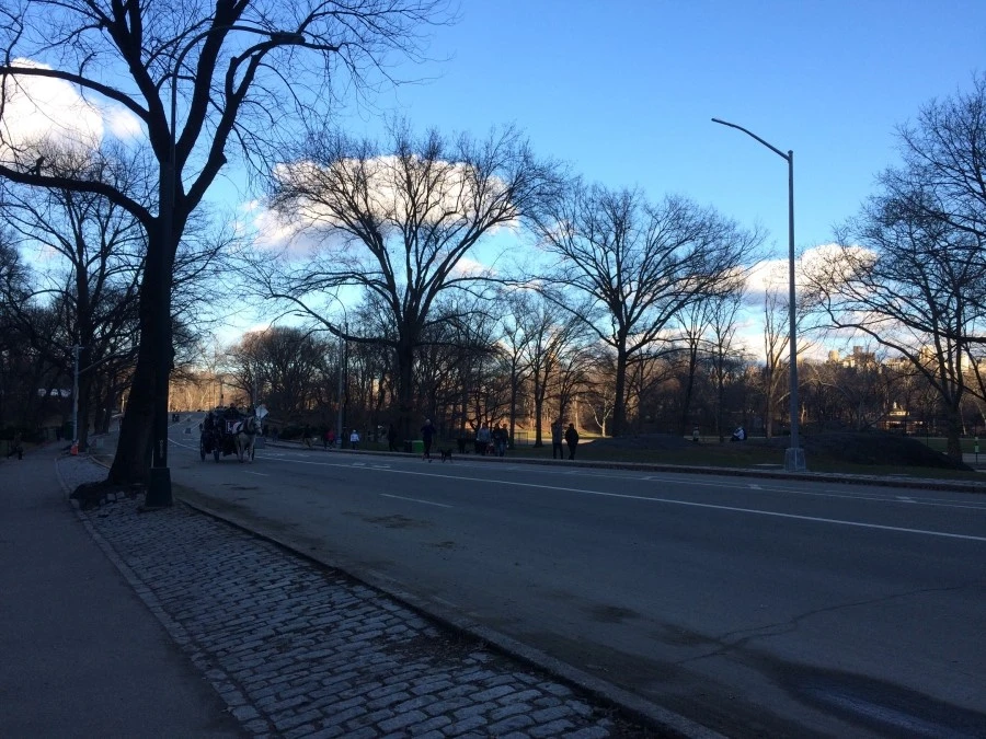 IMG_8051.jpg?type=w1