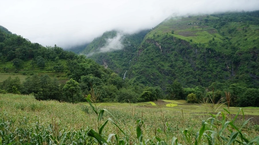 DSC01045%A4%BB.jpg?type=w1