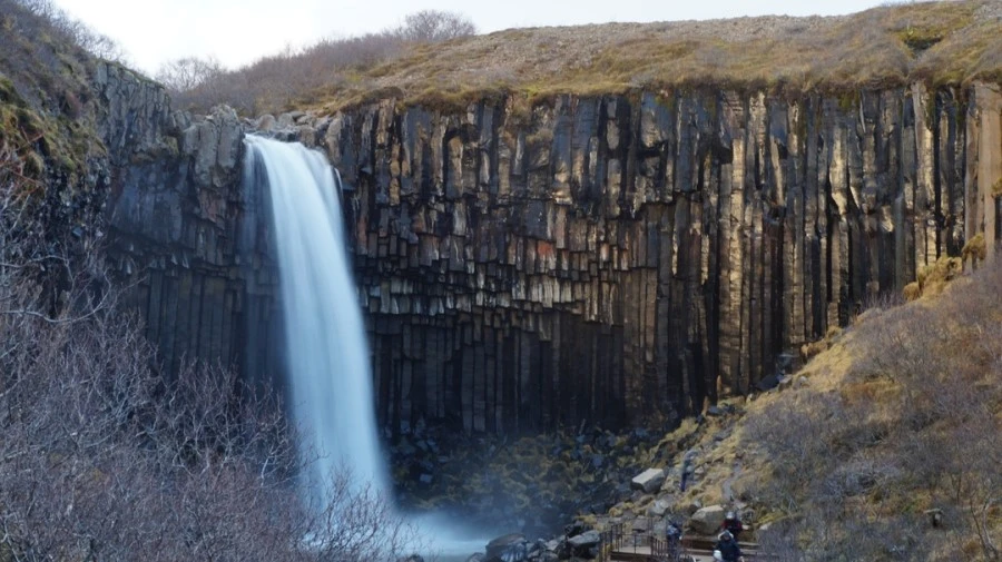 DSC08997.jpg?type=w1