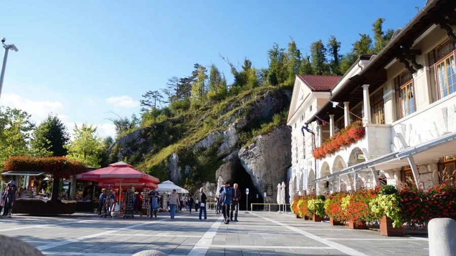 DSC06551.jpg?type=w1