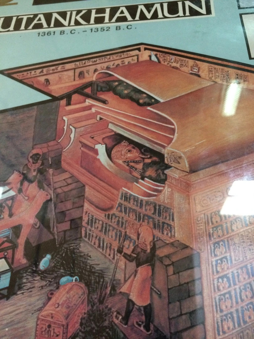 IMG_3268.jpg?type=w1