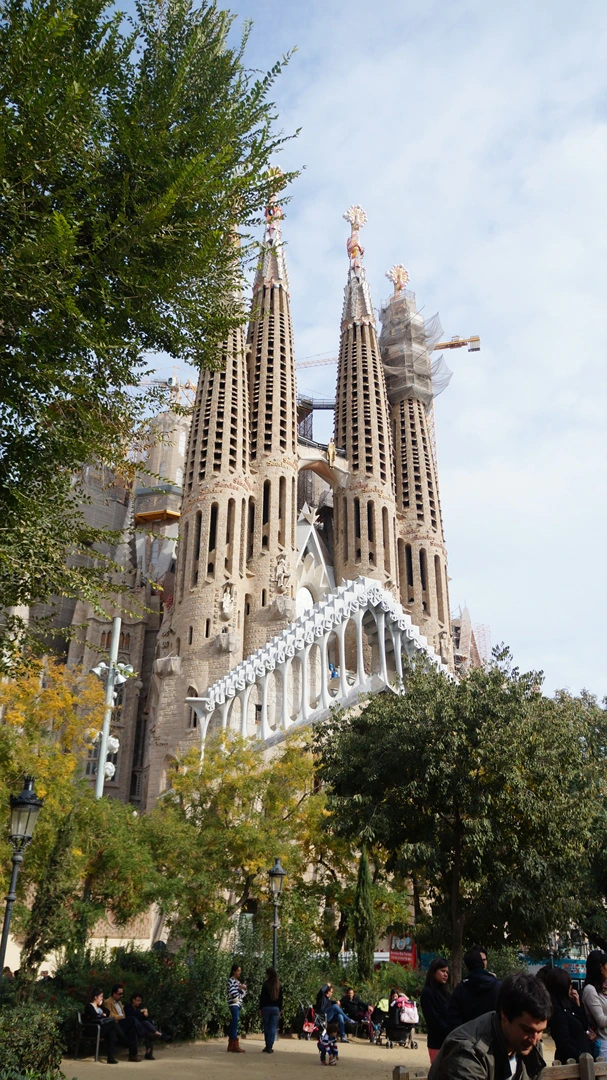 DSC09425.jpg?type=w1