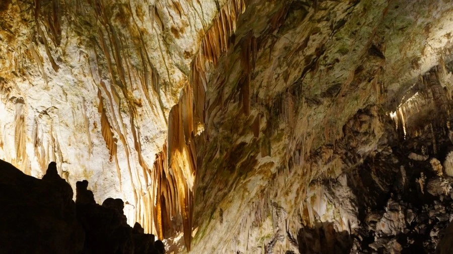 DSC06249%A4%D1.jpg?type=w1