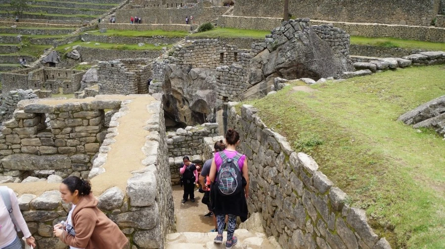 DSC01518.jpg?type=w1