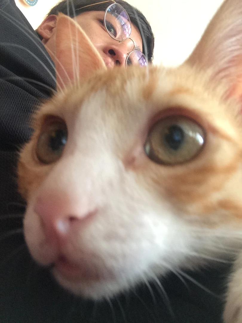 IMG_2920.jpg?type=w1