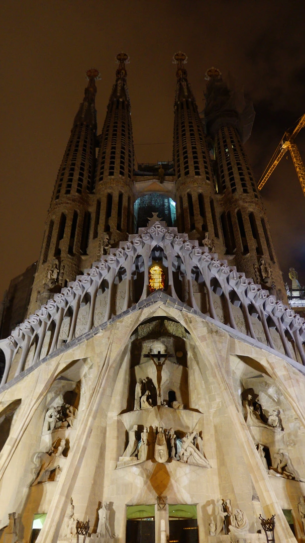 DSC09662%E3%85%A1.jpg?type=w1