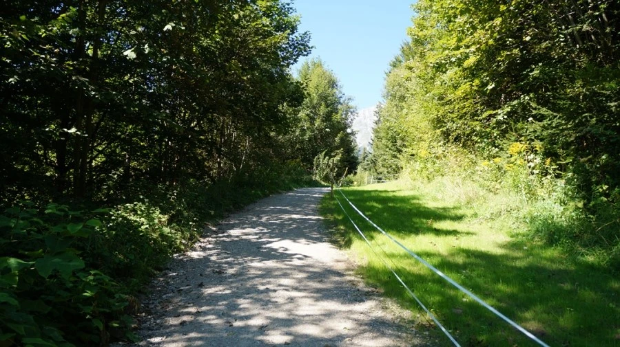 DSC04804.jpg?type=w1