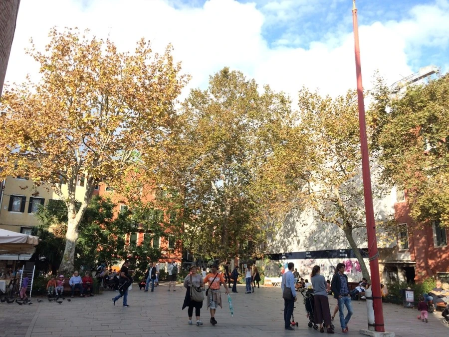 IMG_4603.jpg?type=w1