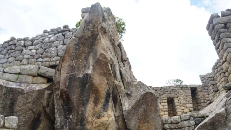 DSC01521.jpg?type=w1