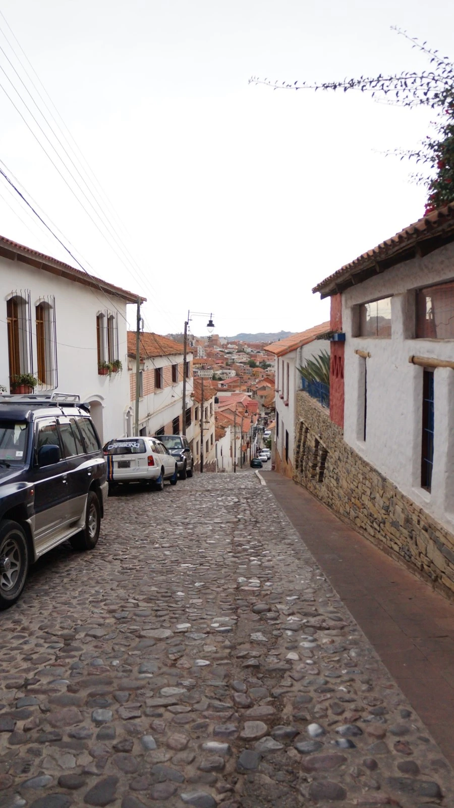 DSC00702.jpg?type=w1