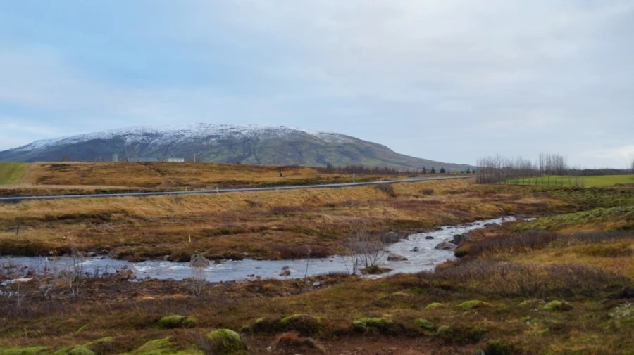 DSC07648.jpg?type=w1