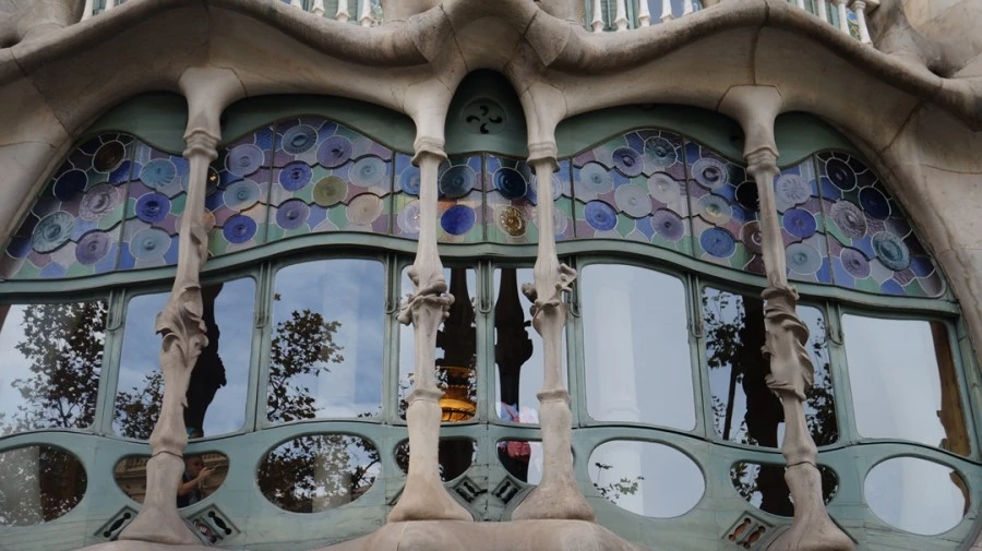 DSC09354.jpg?type=w1