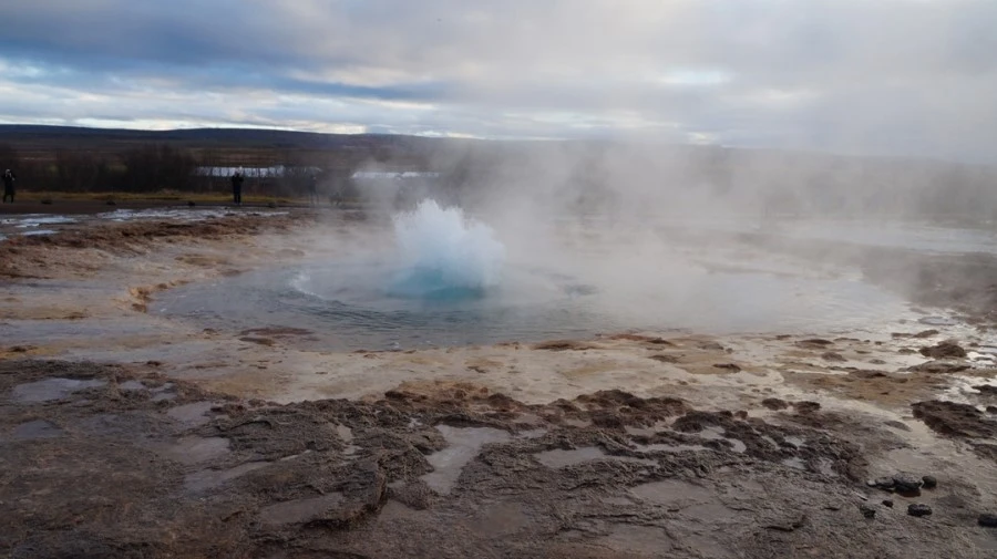 DSC07780.jpg?type=w1