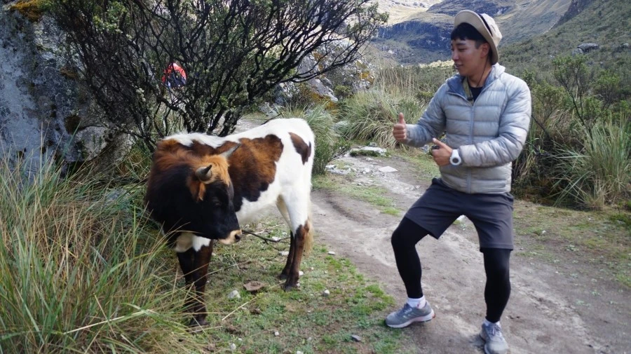 DSC01584.jpg?type=w1