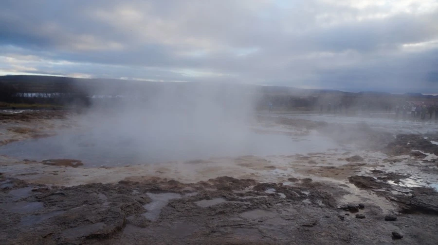 DSC07795.jpg?type=w1