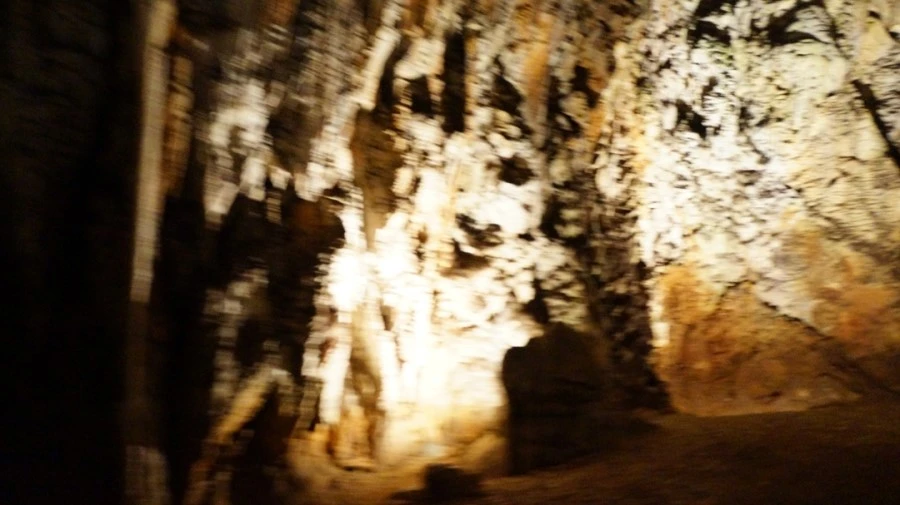 DSC06504.jpg?type=w1