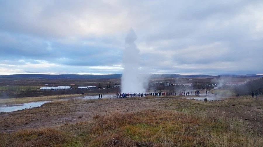 DSC07823%E3%85%A1.jpg?type=w1