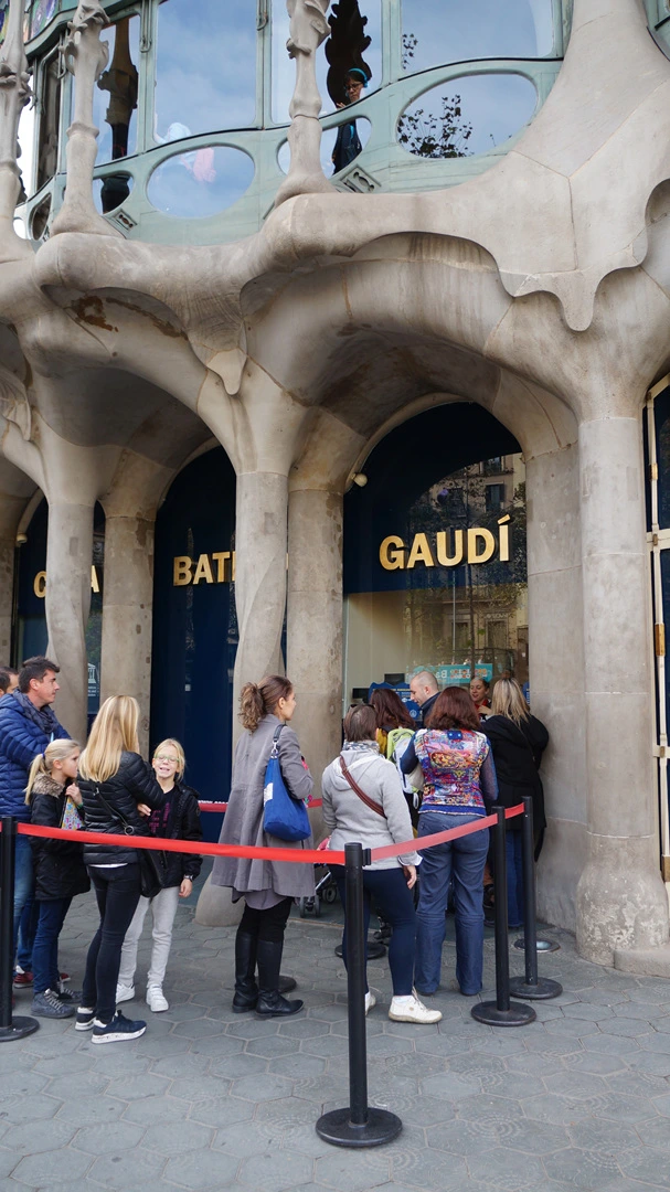 DSC09365.jpg?type=w1