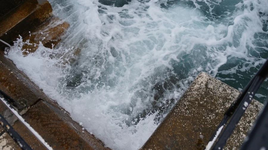 DSC06116.jpg?type=w1