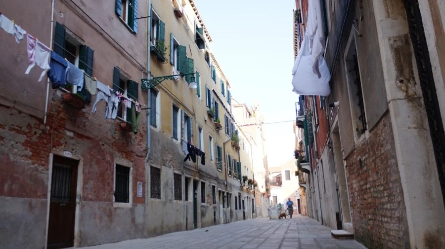 DSC06624.jpg?type=w1