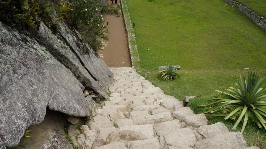 DSC01514.jpg?type=w1